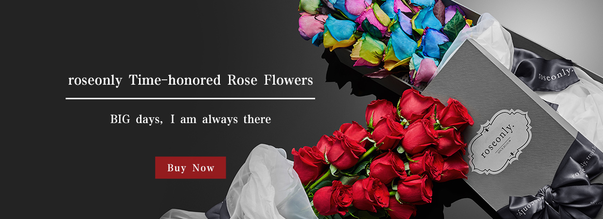 Flower Roses