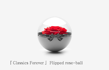 『everlasting classics』spherical rose