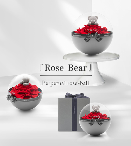 『Rose bear』spherical rose